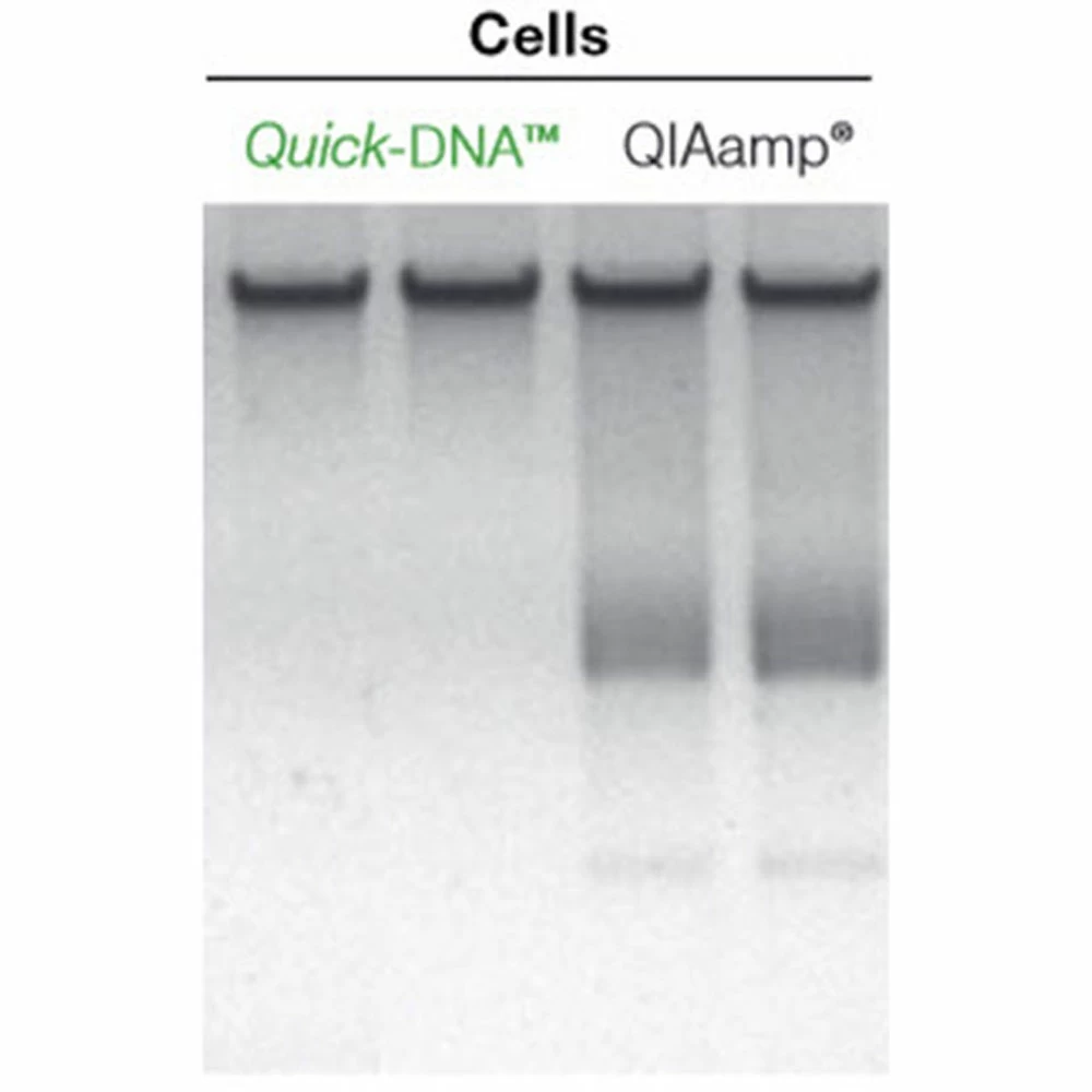 Zymo Research D4082 Quick-DNA Magbead Plus Kit, Zymo Research, 4 x 96 Preps/Unit quinary image