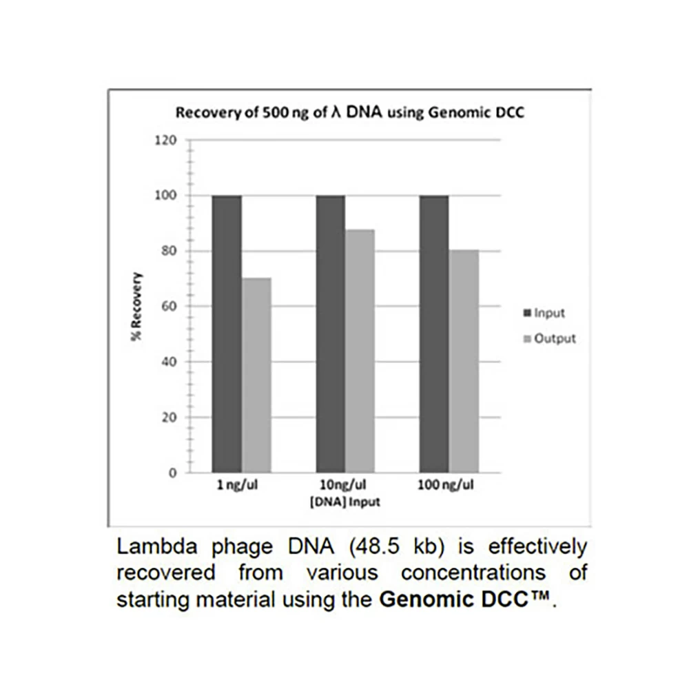 Zymo Research D4064 Genomic DNA Clean & Concentrator-25, Zymo Research Kit, 25 Preps/Unit tertiary image