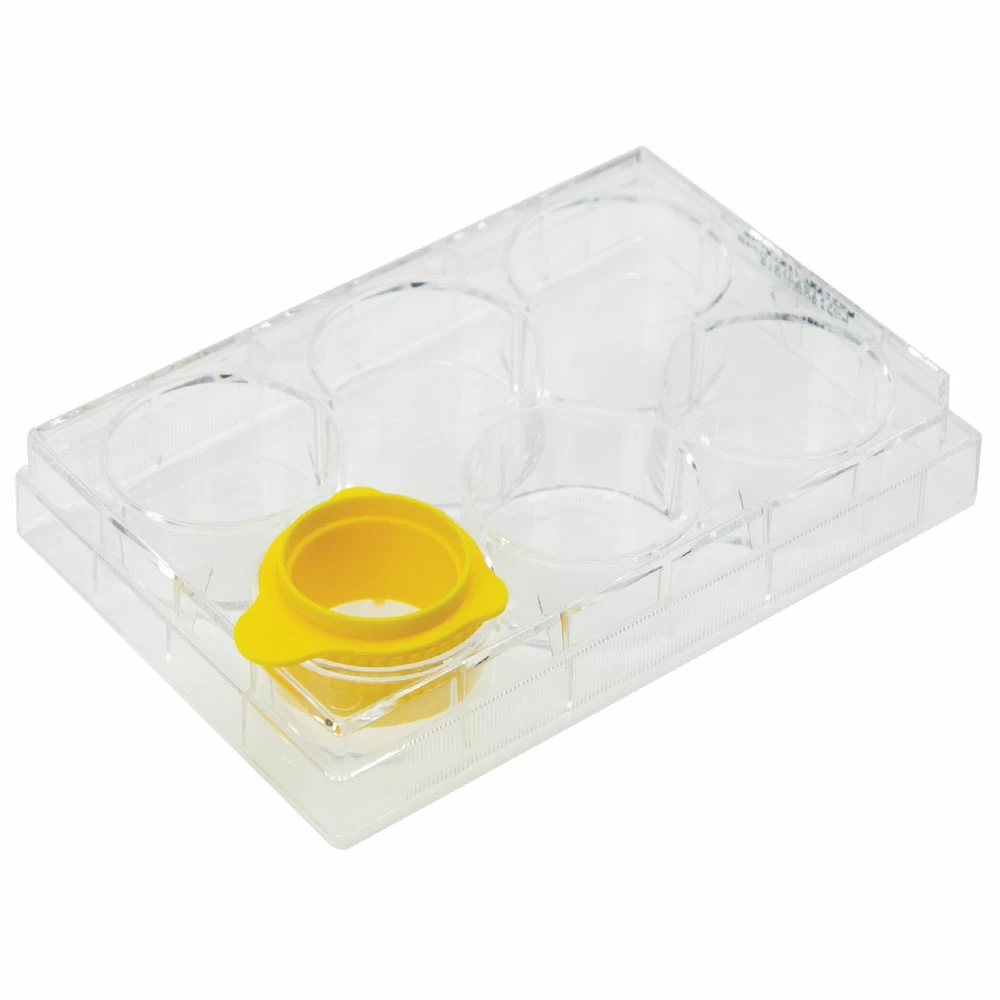 Olympus Plastics 25-377, Individually Wrapped, Sterile, 50 Cell Strainers/Unit secondary image