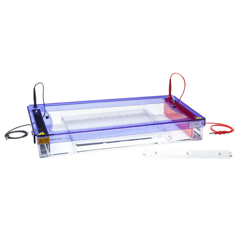 Genesee Scientific 45-104 High Capacity Horizontal Gel Box, 26 x 32cm, 1 Gel Box/Unit primary image